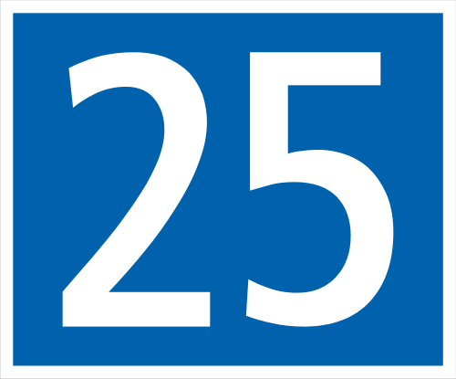 25